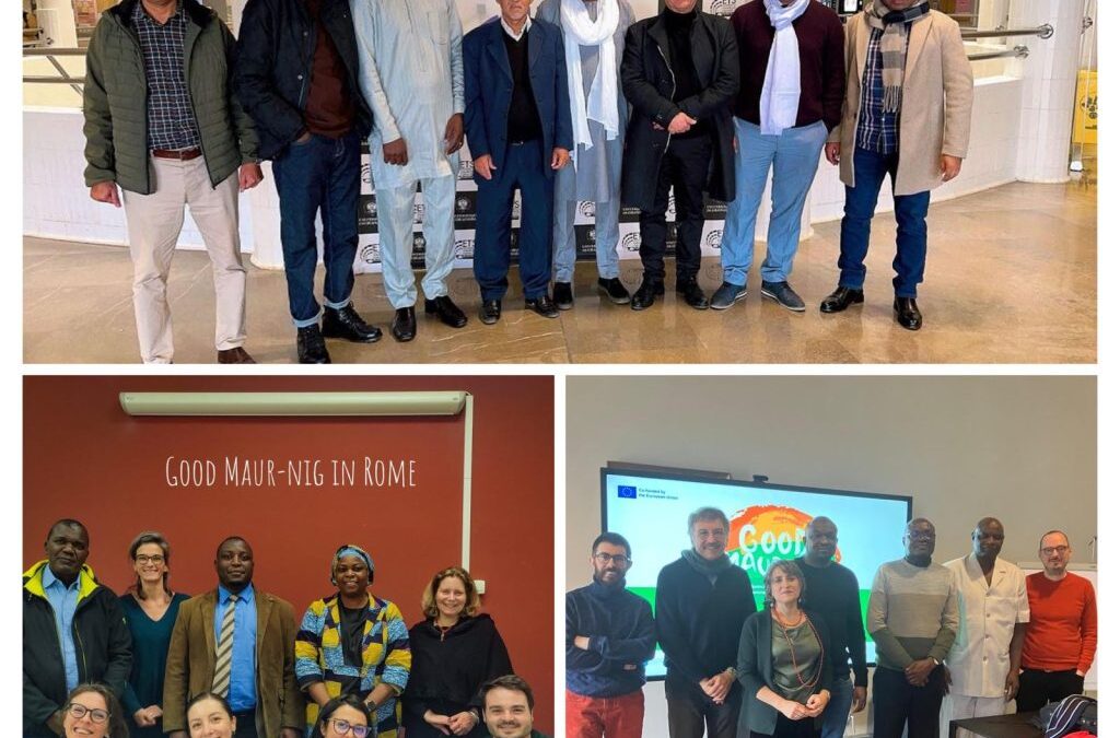 Strengthening the Internationalization of Sub-Saharan Universities: Study visits in Italy and Spain under the GOOD MAUR-NIG Project